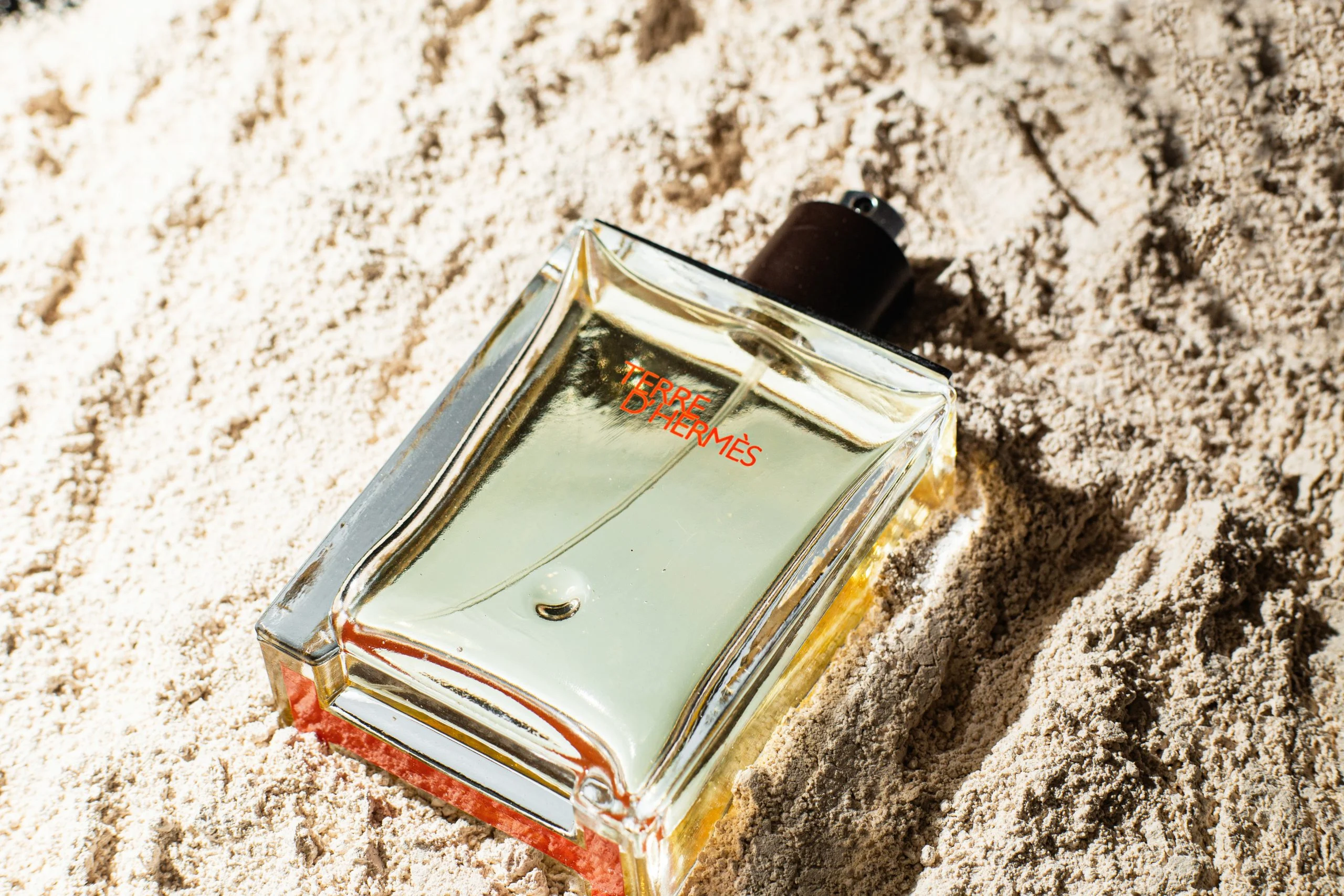 perfumy z nutą drzewną – recenzje i porównania: przegląd najważniejszych modeli