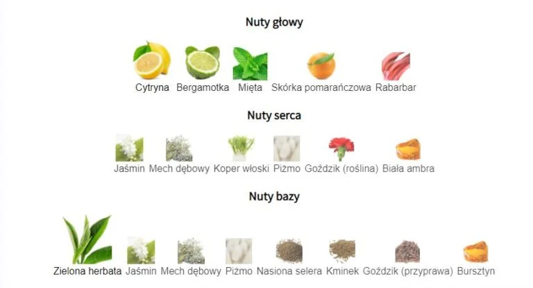 Porównanie kluczowych nut w najnowszych świeżych perfumach