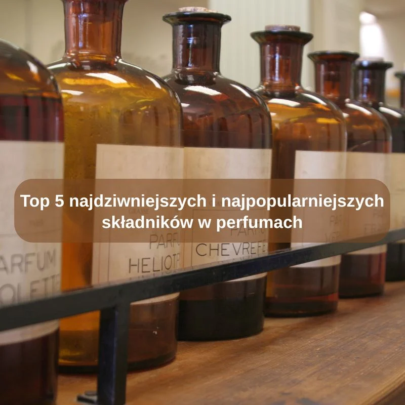 Porównanie najważniejszych składników w perfumach gourmand