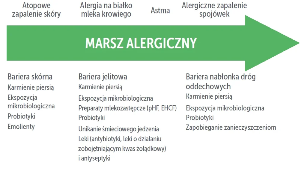 Strategie minimalizujące ryzyko alergii